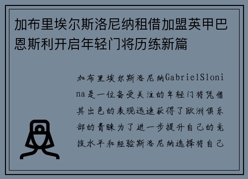 加布里埃尔斯洛尼纳租借加盟英甲巴恩斯利开启年轻门将历练新篇